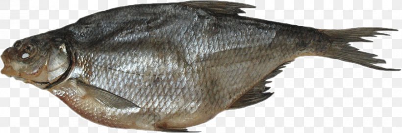 Smoked Fish Common Bream Food Drying Common Roach, PNG, 900x300px, Fish, Common Bream, Common Roach, Food Drying, Northern Pike Download Free