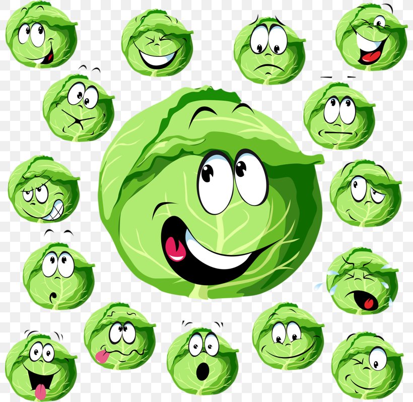 Cabbage Cartoon Royalty-free Illustration, PNG, 800x798px, Cabbage, Ball, Cartoon, Drawing, Emoticon Download Free
