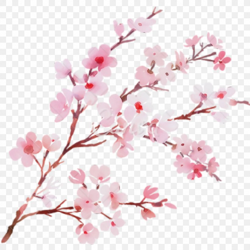 Cherry Blossom Tree Drawing, PNG, 1024x1024px, Watercolor, Art, Blossom, Branch, Cherries Download Free
