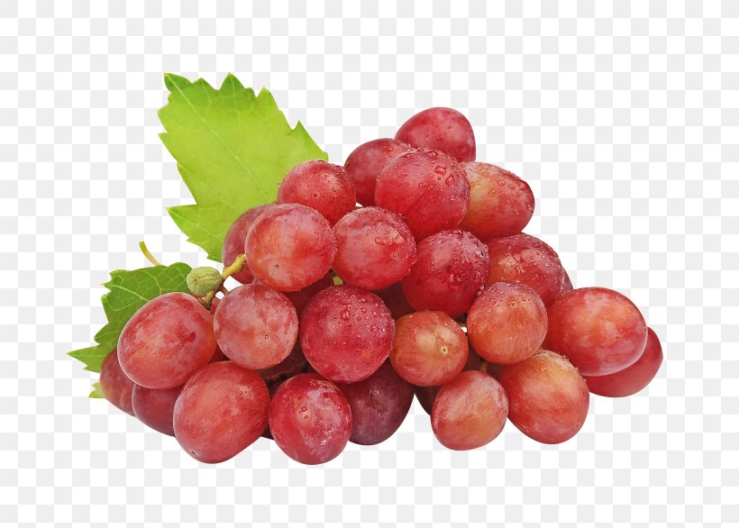 Common Grape Vine Concord Grape Sultana Wine, PNG, 819x586px, Common Grape Vine, Berry, Concord Grape, Cranberry, Food Download Free