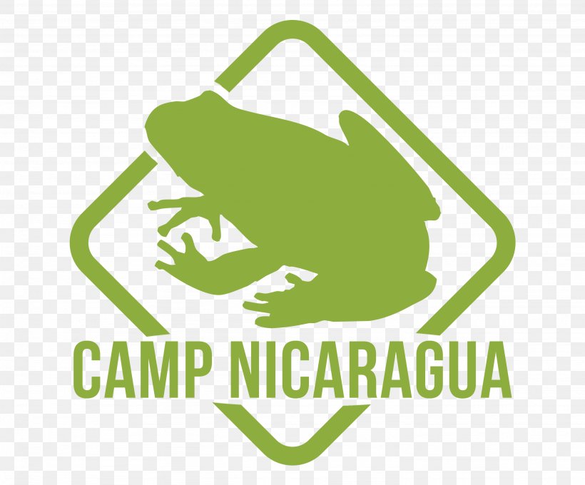 Brand Logo Camps International Costa Rica, PNG, 2871x2382px, Brand, Amphibian, Area, Camps International, Costa Rica Download Free