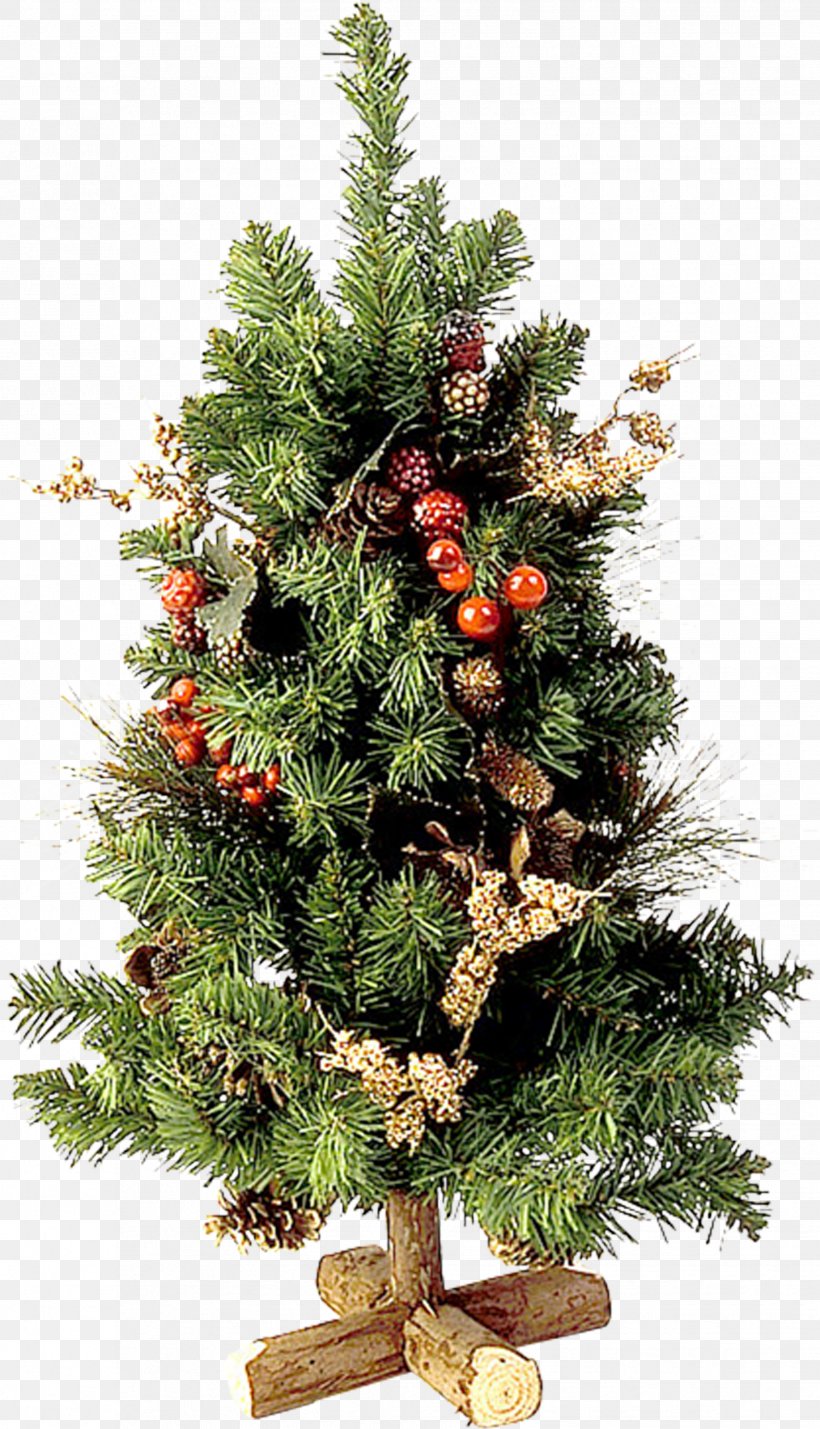 Christmas Tree Fir Christmas Ornament, PNG, 1833x3196px, Christmas Tree, Christmas, Christmas Decoration, Christmas Ornament, Conifer Download Free
