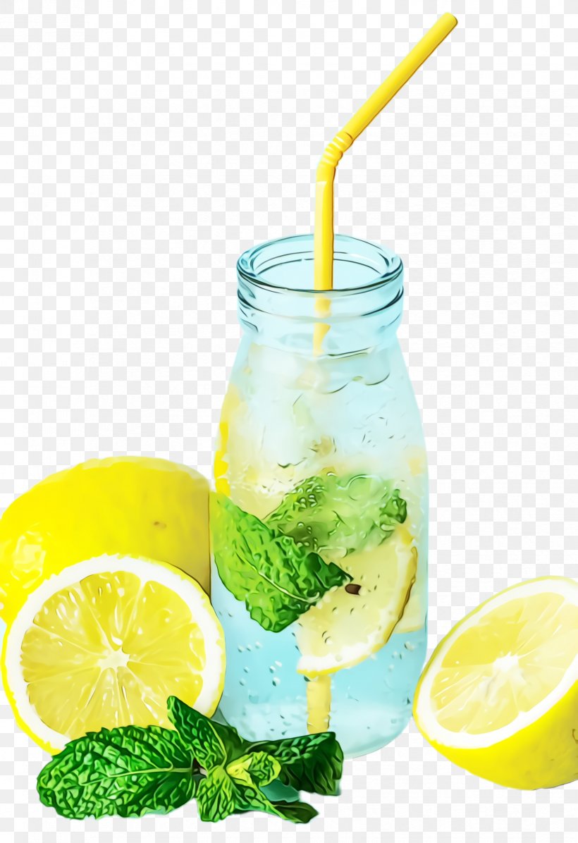 Mojito, PNG, 1656x2416px, Watercolor, Citrus, Drink, Food, Lemon Download Free