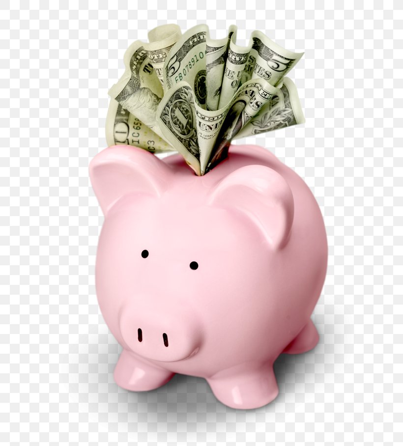 Piggy Bank Saving Snout, PNG, 667x908px, Piggy Bank, Bank, Pink, Pink M, Saving Download Free