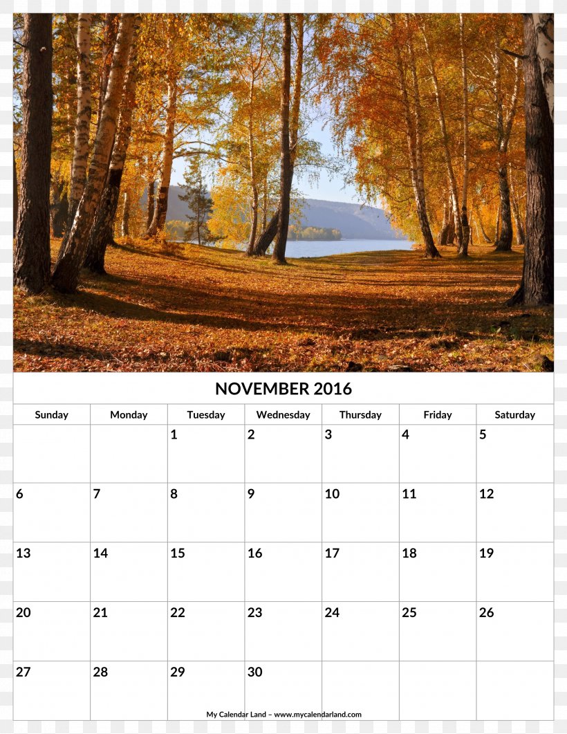 Forest Autumn Tree Desktop Wallpaper, PNG, 2550x3300px, Forest, Autumn, Autumn Leaf Color, Calendar, Deciduous Download Free