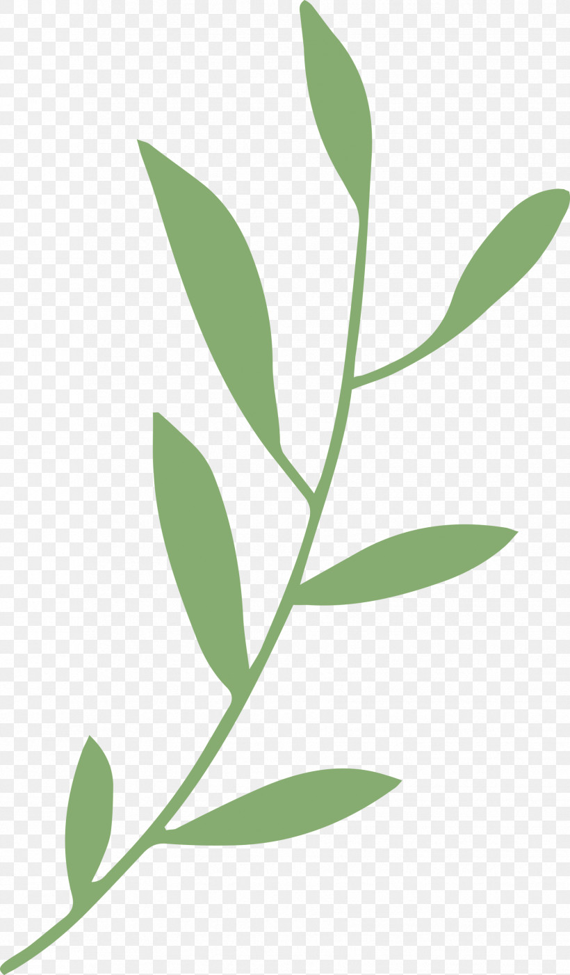 Leaf Branch, PNG, 1754x3000px, Leaf Branch, Biology, Leaf, Meter, Plant Stem Download Free