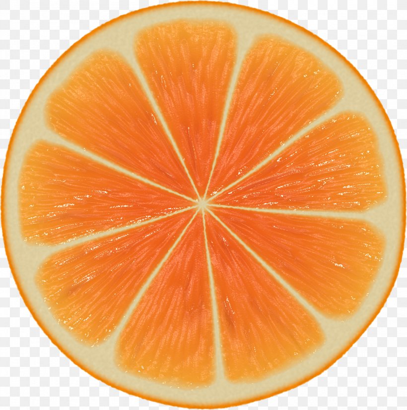 Orange Slice Mathematics Symmetry Patterns In Nature, PNG, 2106x2124px, Orange Juice, Bitter Orange, Citric Acid, Citrus, Clementine Download Free