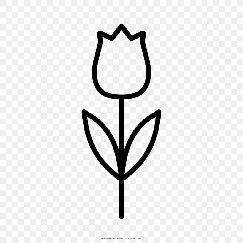 Flower Tulip Coloring Book Drawing, PNG, 1000x1000px, Flower, Black And White, Child, Color, Coloring Book Download Free
