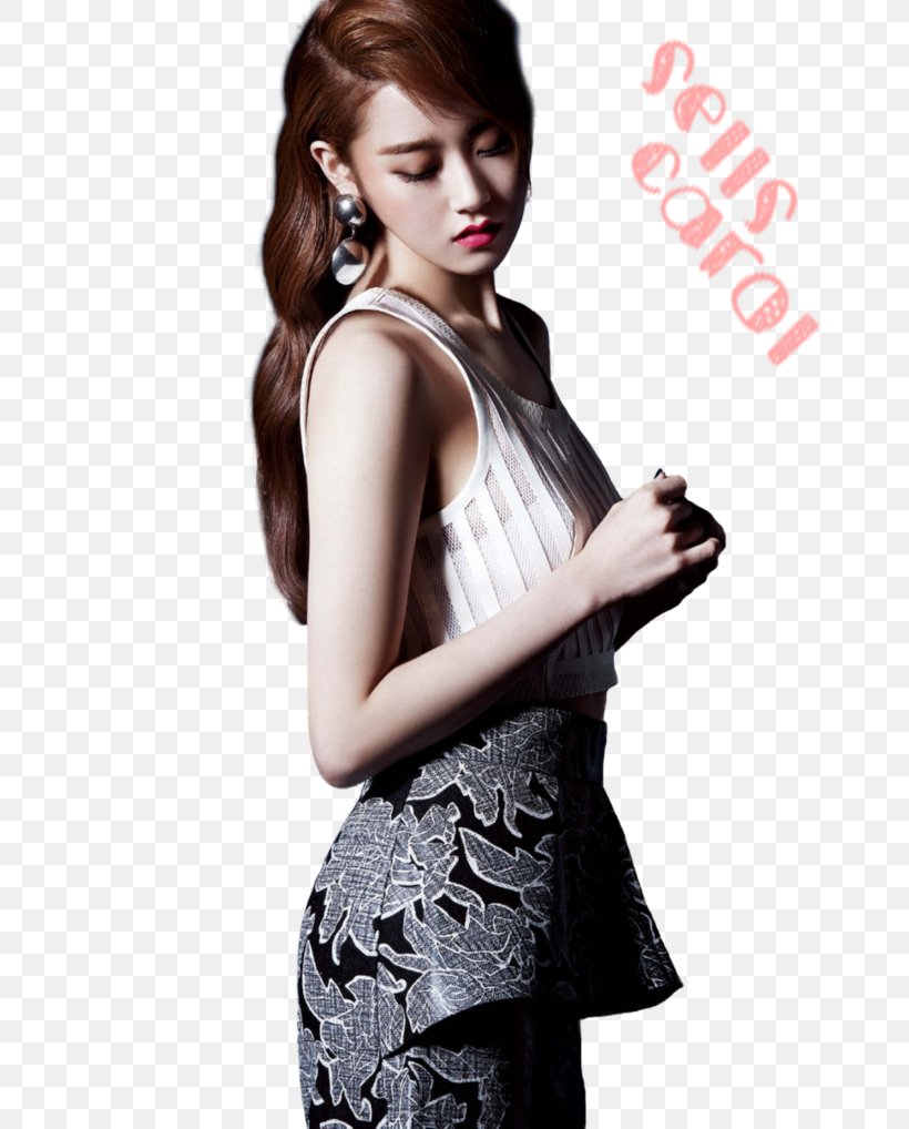 Heo Ga-yoon 4Minute K-pop Model, PNG, 784x1018px, Watercolor, Cartoon, Flower, Frame, Heart Download Free