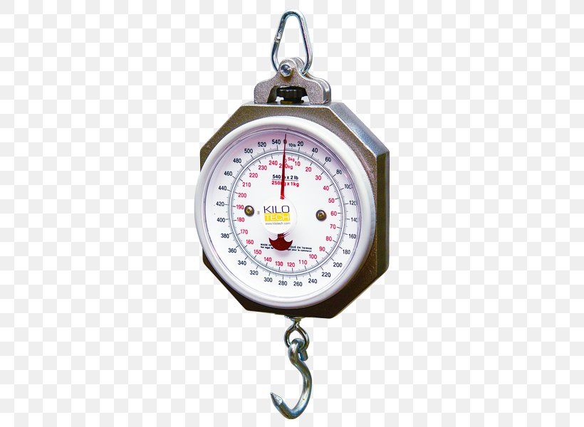 Measuring Scales Steel Aluminium Industry Quality Control, PNG, 600x600px, Measuring Scales, Accuracy And Precision, Aluminium, Architectural Engineering, Check Weigher Download Free