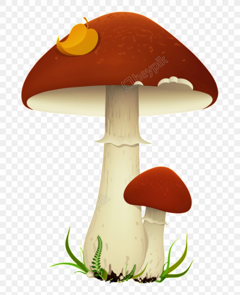 Mushroom Cloud Clip Art Transparency Image, PNG, 1024x1262px, Mushroom, Agaric, Agaricaceae, Agaricomycetes, Agaricus Download Free