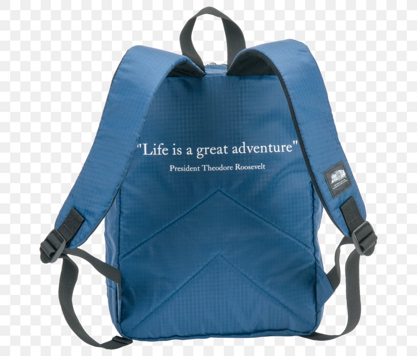 Bag Backpack, PNG, 700x700px, Bag, Backpack, Blue, Electric Blue, Luggage Bags Download Free