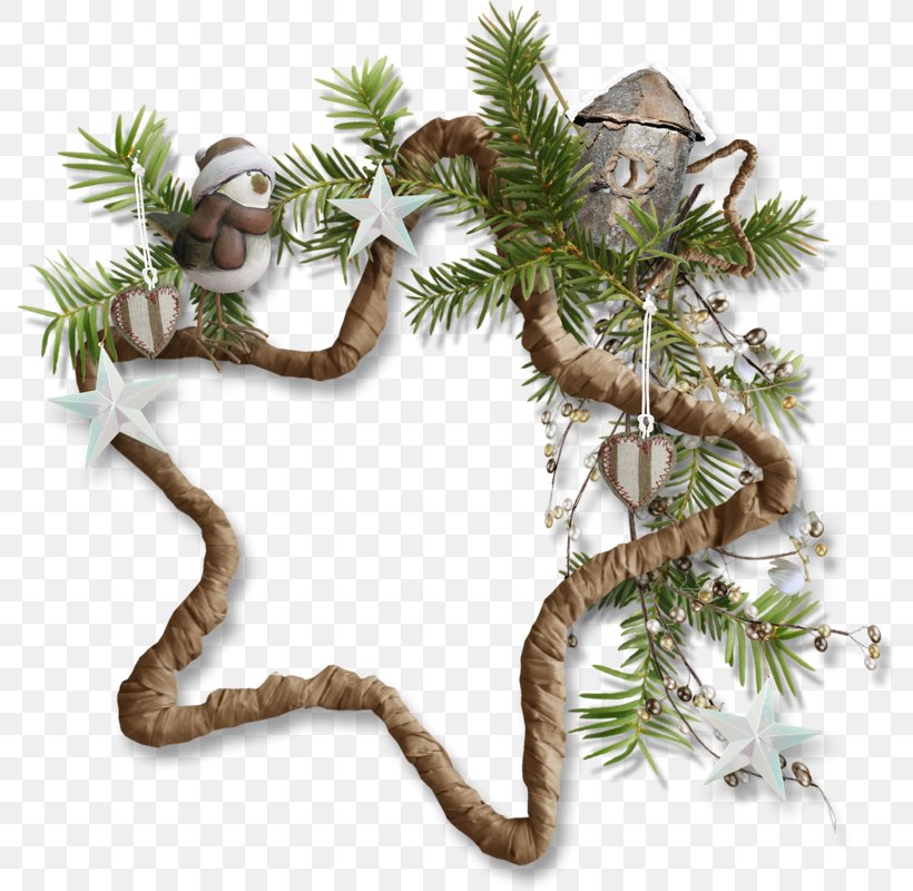 Fir Christmas Ornament Pine Houseplant, PNG, 790x800px, Fir, Branch, Branching, Christmas, Christmas Ornament Download Free