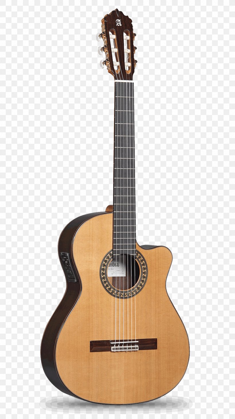 Recuerdos De La Alhambra Classical Guitar Acoustic Guitar, PNG, 940x1671px, Watercolor, Cartoon, Flower, Frame, Heart Download Free
