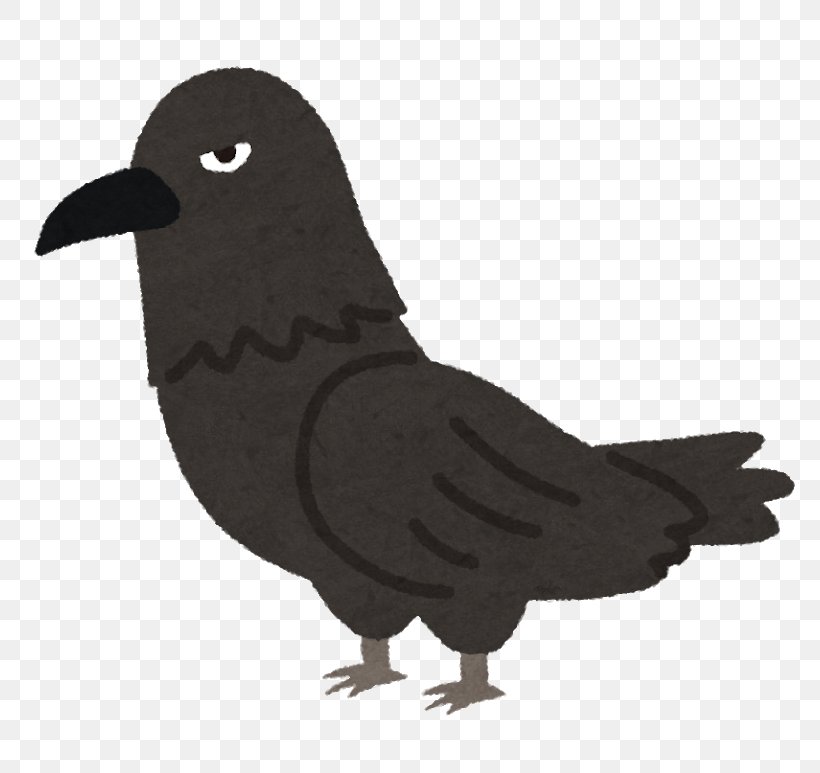 Crow Tokyo Municipal Solid Waste いらすとや, PNG, 800x773px, Crow, Animal, Beak, Bird, Crow Like Bird Download Free