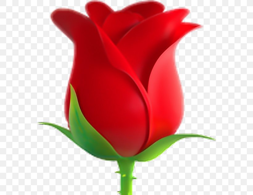 Flower Emoji  Ios  Png Best Flower Site