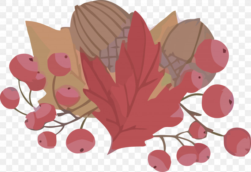 Autumn Acorns Leaves, PNG, 3513x2412px, Autumn, Acorns, Leaf, Leaves, Petal Download Free