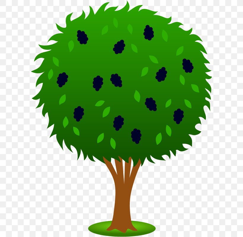 Clip Art Apple Image Tree Malus Sylvestris, PNG, 613x800px, Apple, Apples, Cartoon, Drawing, Flowerpot Download Free