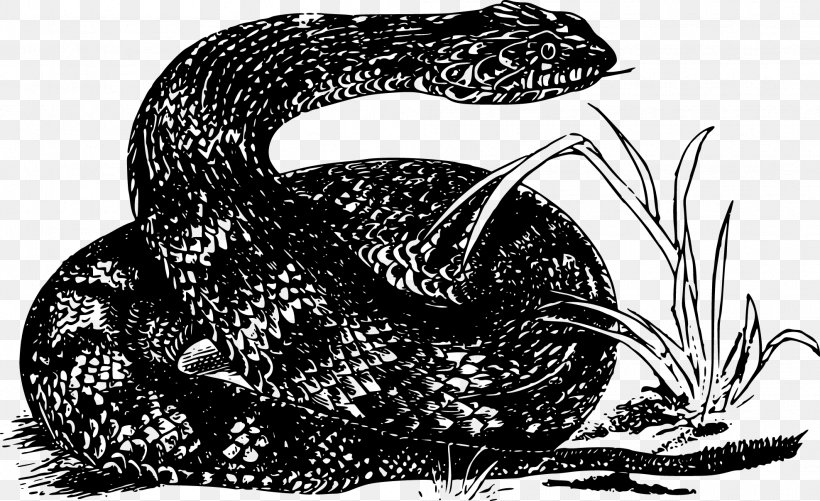 Snake Reptile Clip Art, PNG, 1975x1207px, Snake, Black And White, Common European Viper, Drawing, Extinction Download Free
