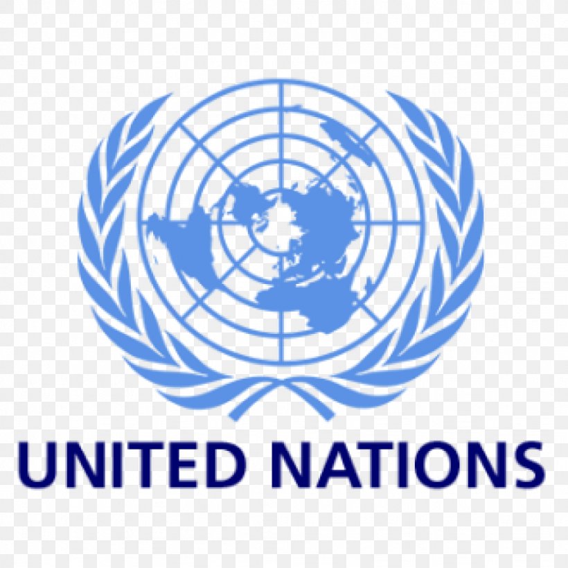 United Nations Office At Nairobi Model United Nations Organization United Nations Economic And Social Council, PNG, 1024x1024px, United Nations Office At Nairobi, Area, Brand, International Organization, Logo Download Free