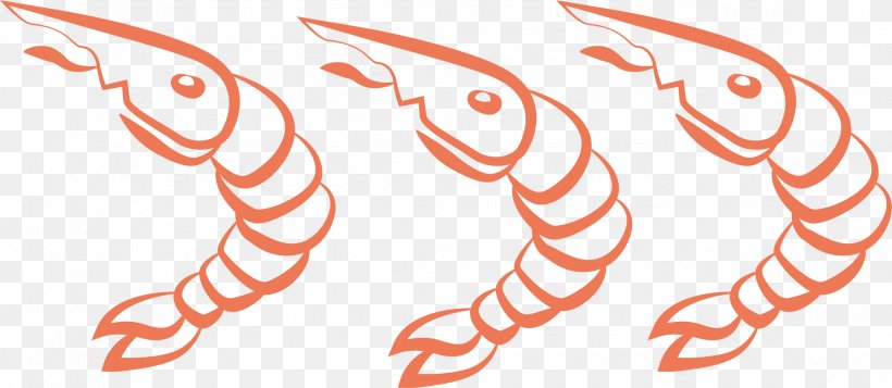 Caridea Shrimp, PNG, 2298x1001px, Caridea, Frozen Food, Logo, Orange, Shrimp Download Free