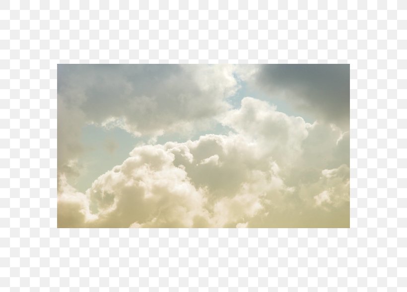 Desktop Wallpaper Cloud Forest Sky White, PNG, 590x590px, Cloud, Atmosphere, Cloud Forest, Computer, Cumulus Download Free