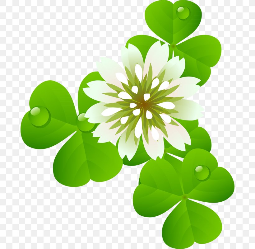 Paper Clip Saint Patrick's Day Shamrock Clip Art, PNG, 688x800px, Paper, Centerblog, Clover, Flower, Flowering Plant Download Free