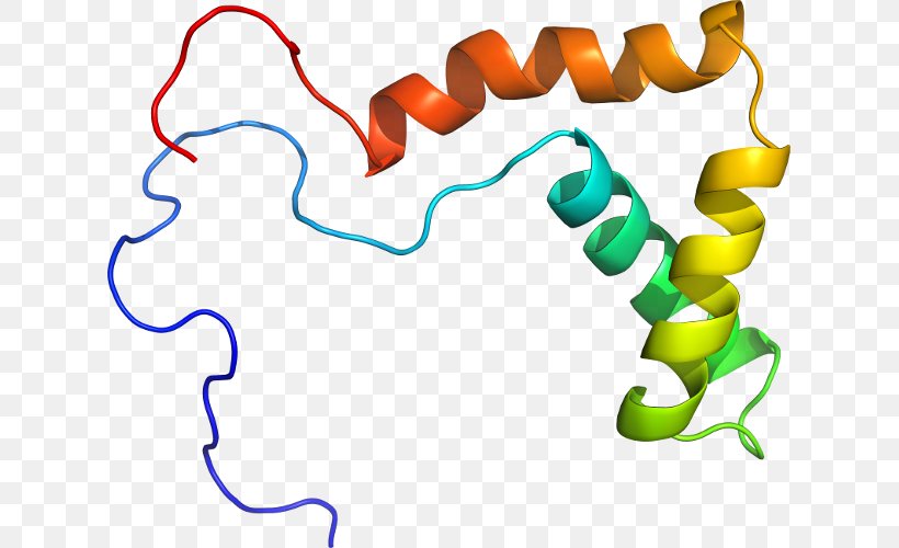 Protein Hemoglobin Organism Clip Art, PNG, 623x500px, Protein, Area, Artwork, Hemoglobin, Inflammation Download Free