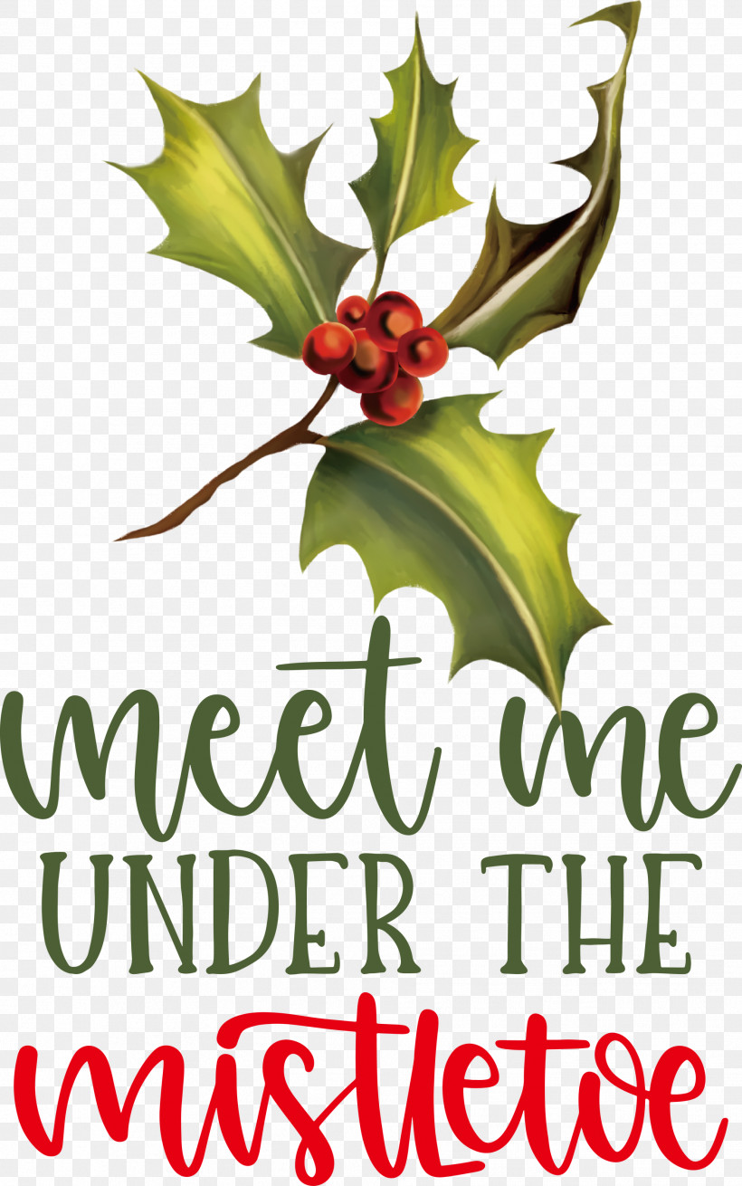 Meet Me Under The Mistletoe Mistletoe, PNG, 1877x3000px, Mistletoe, Aquifoliaceae, Aquifoliales, Biology, Flower Download Free