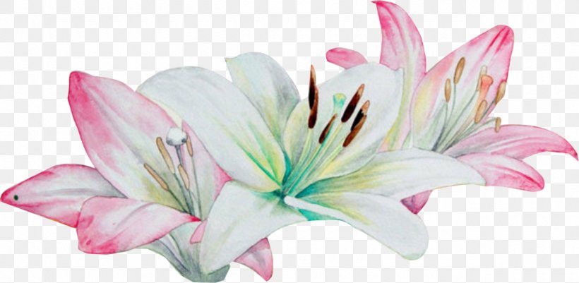Watercolor Painting Lilium Flower, PNG, 1280x626px, Watercolor Painting, Art, Canvas, Color, Cut Flowers Download Free