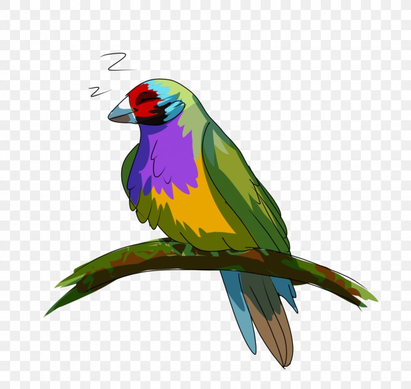 Bird Parrot, PNG, 1325x1255px, Macaw, Beak, Bird, Budgie, Feather Download Free