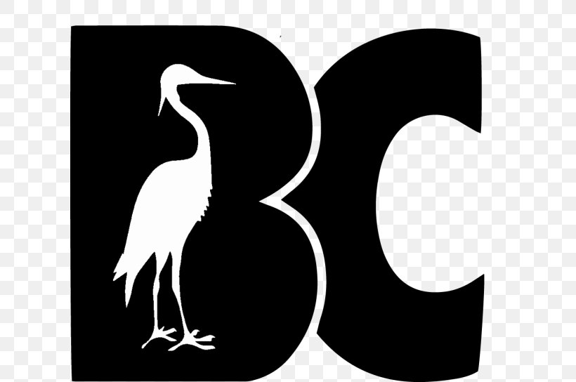 Blue Crane Bird Hoodie Beak, PNG, 620x544px, Crane, Beak, Bird, Black And White, Blue Crane Download Free