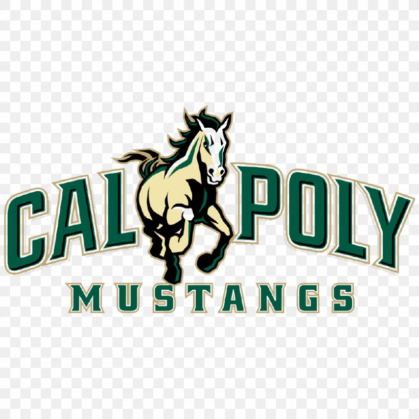 Cal Poly Mustangs Men's Basketball Cal Poly Mustangs Baseball Cal Poly Mustangs Women's Basketball Cal Poly Ticket Office Cal Poly San Luis Obispo College Of Architecture And Environmental Design, PNG, 833x833px, Cal Poly Mustangs Baseball, Brand, Cal Poly Mustangs, Cal Poly Mustangs Football, California Download Free
