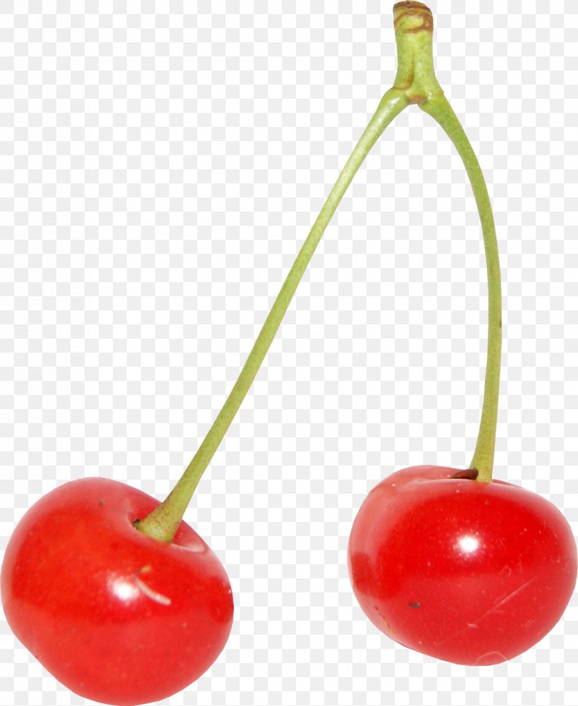 Cherry, PNG, 1658x2024px, Cherry, Food, Fruit, Plant Download Free