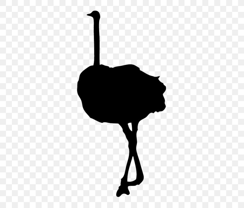 Common Ostrich Bird Silhouette Clip Art, PNG, 700x700px, Common Ostrich, Beak, Bird, Black And White, Decal Download Free