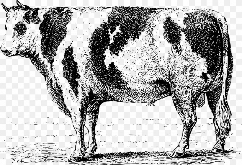 Dairy Cattle Ox Bull Clip Art, PNG, 1280x873px, Dairy Cattle, Black And White, Brand, Bull, Cattle Download Free