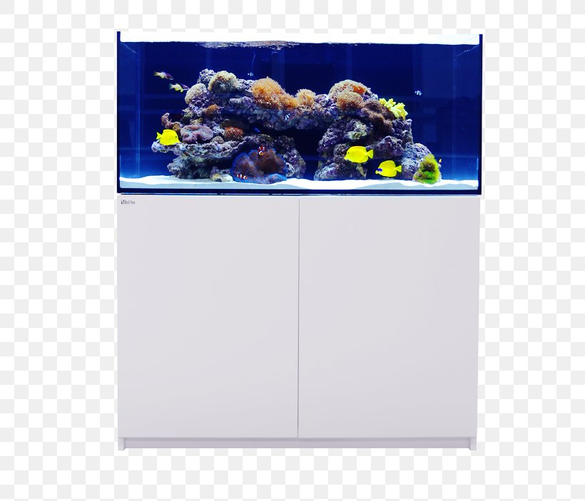 Reef Aquarium Aquariums Sump Aquarium Lighting, PNG, 738x703px, Aquarium, Aqua Tropica, Aquarium Furniture, Aquarium Lighting, Aquariums Download Free