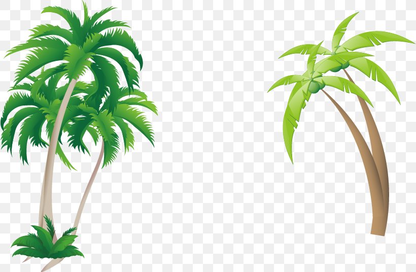 Arecaceae Coconut, PNG, 818x536px, Arecaceae, Architecture, Arecales, Coconut, Flowerpot Download Free