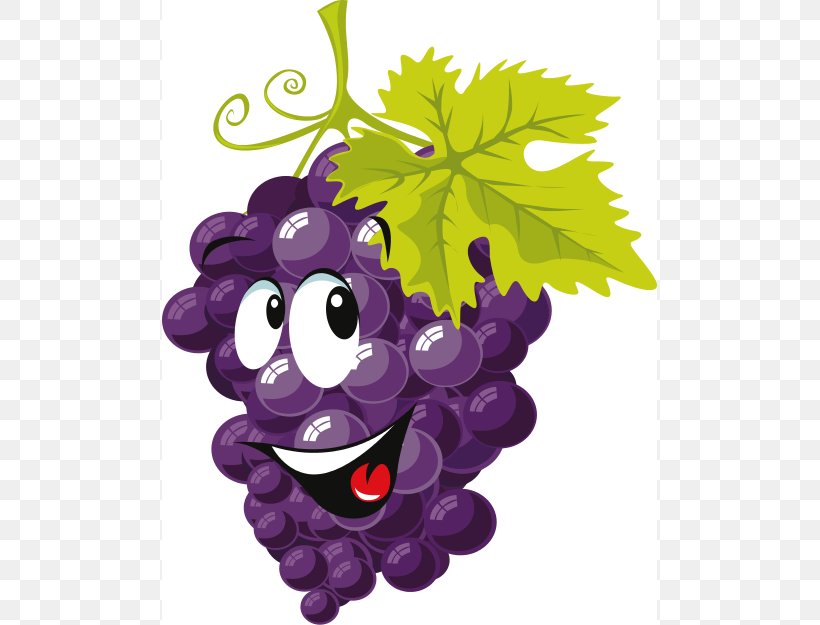 Common Grape Vine Cartoon Clip Art, PNG, 495x625px, Common Grape Vine, Animation, Art, Cartoon, Drawing Download Free