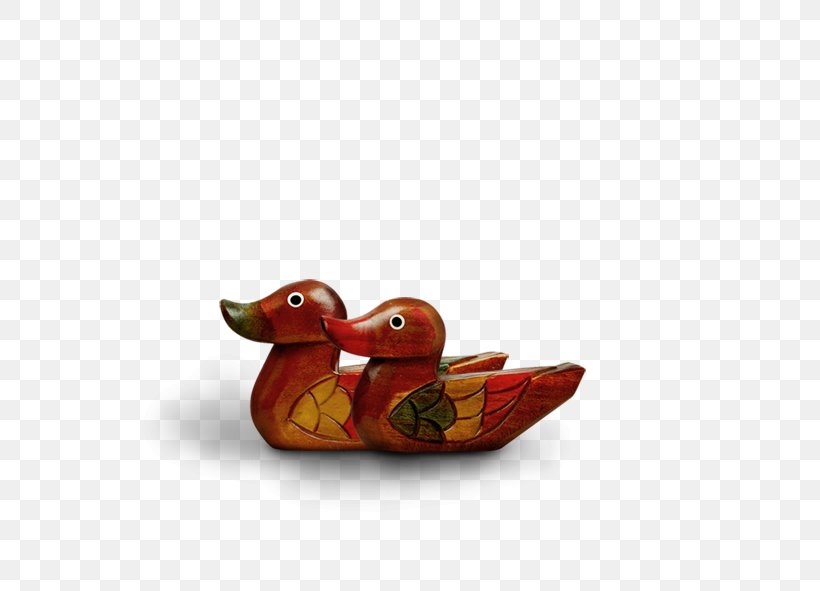 Duck Beak, PNG, 591x591px, Duck, Beak, Bird, Ducks Geese And Swans, Water Bird Download Free