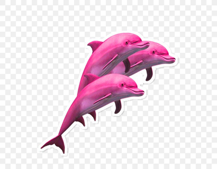 Vaporwave Clip Art Dolphin Porpoise, PNG, 640x640px, Vaporwave, Aesthetics, Amazon River Dolphin, Animal Figure, Bottlenose Dolphin Download Free