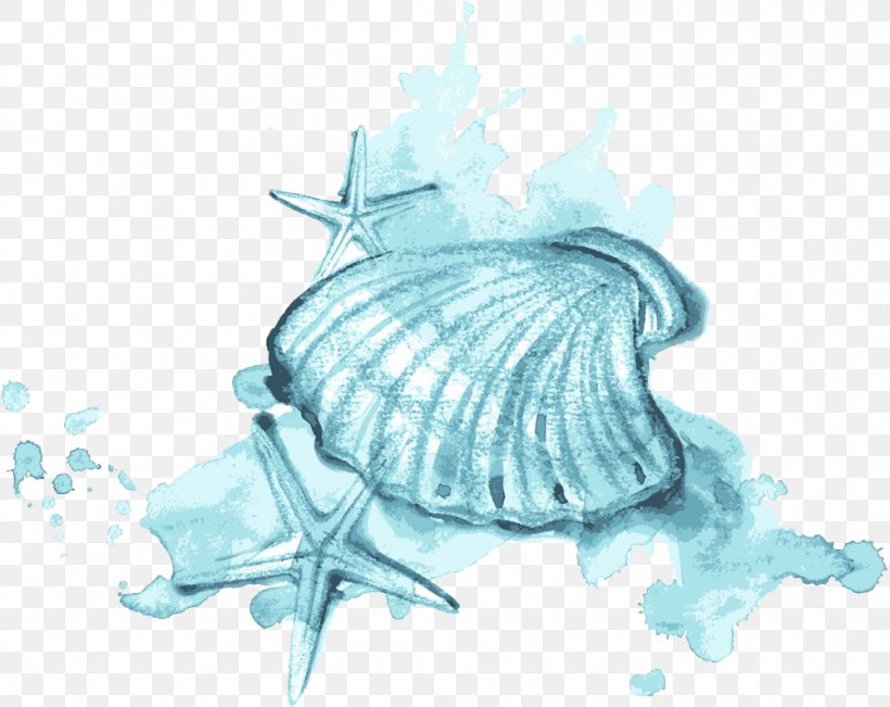 Seashell Watercolor Painting Illustration, PNG, 1000x794px, Seashell, Aqua, Drawing, Fish, Organism Download Free