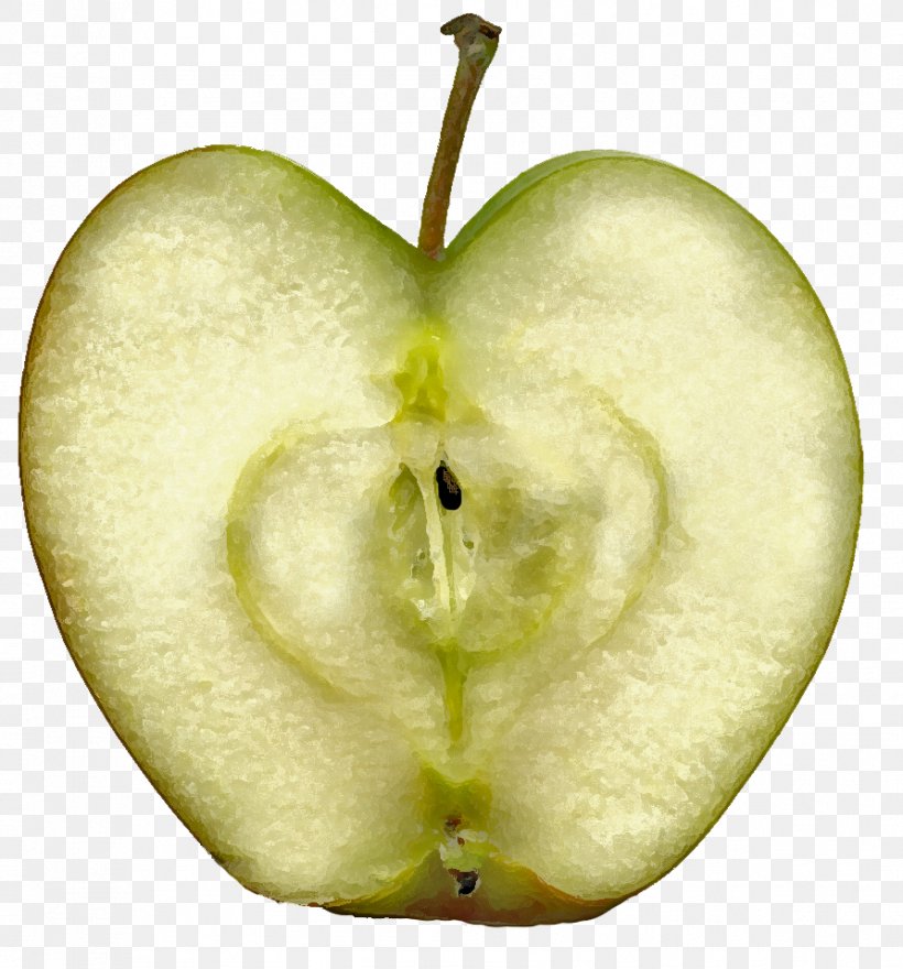 Apple IPhone Dagen Zonder Honger Clip Art, PNG, 892x958px, Apple, Dagen Zonder Honger, Food, Fruit, Granny Smith Download Free
