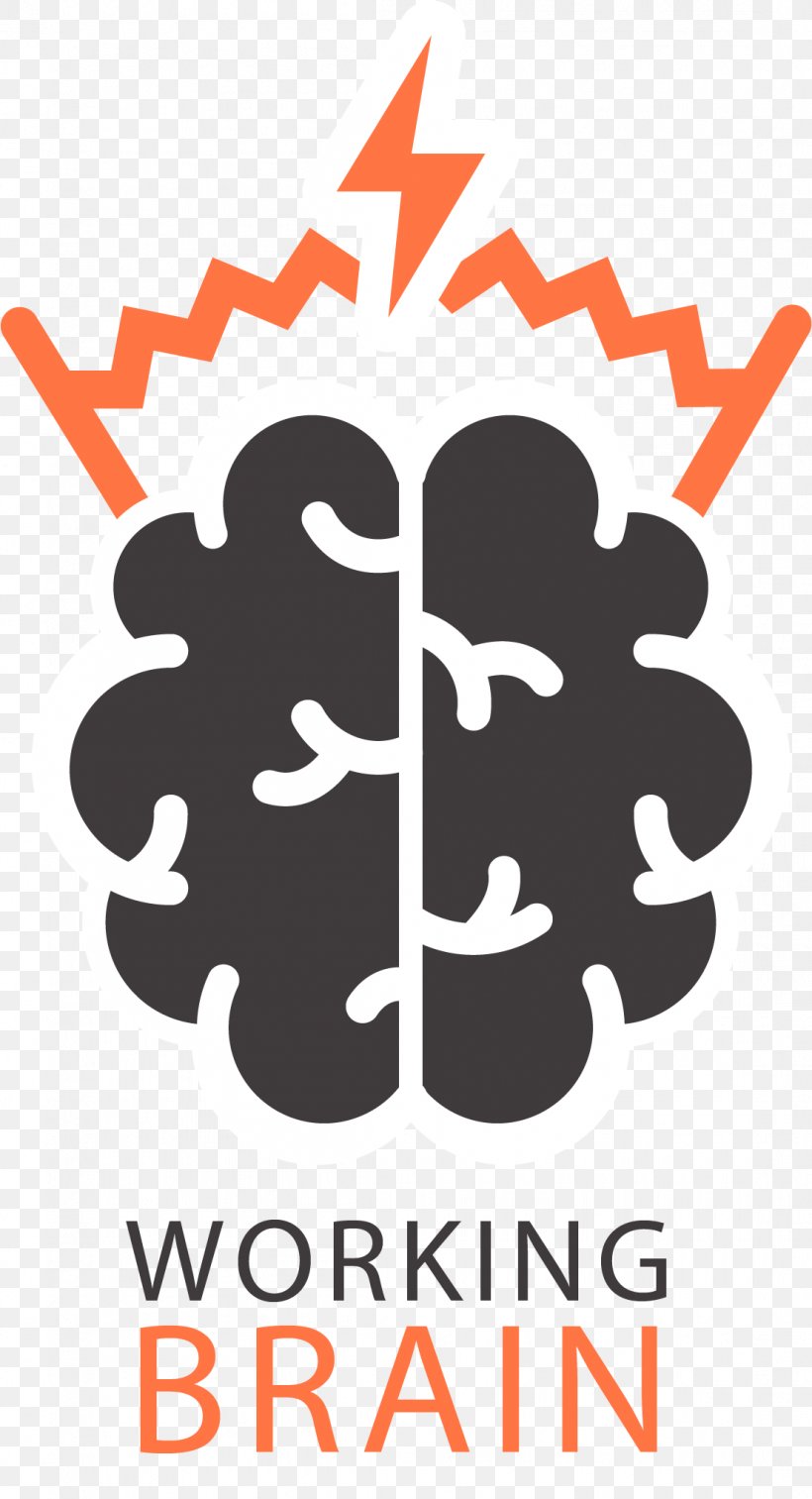 Brain Logo Thought Training Mind, PNG, 1105x2039px, Brain, Area, Brand, Business, Creativity Download Free