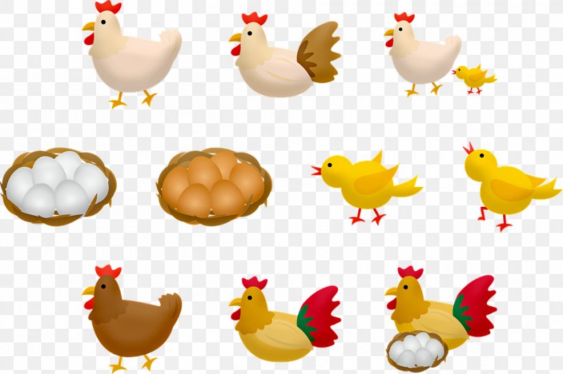 Chicken Rooster Stock.xchng Egg Illustration, PNG, 960x640px, Chicken, Animal Figure, Beak, Bird, Chicken Egg Download Free