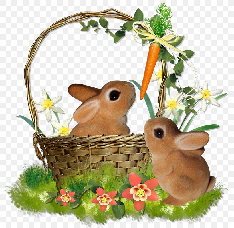 Easter Bunny Hare Domestic Rabbit, PNG, 800x800px, Easter Bunny, Basket, Blog, Character, Domestic Rabbit Download Free
