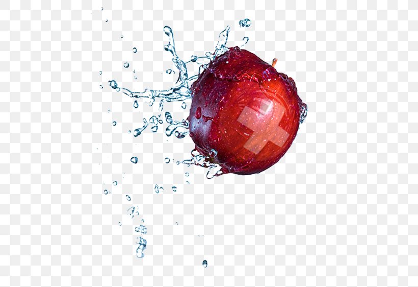 Splash Water Supply Network High-speed Photography, PNG, 528x562px, Splash, Christmas Ornament, Film, Food, Fruit Download Free