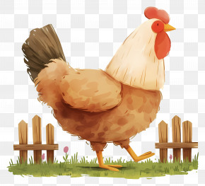Cute Hen - Farm Chicken Illustration PNG