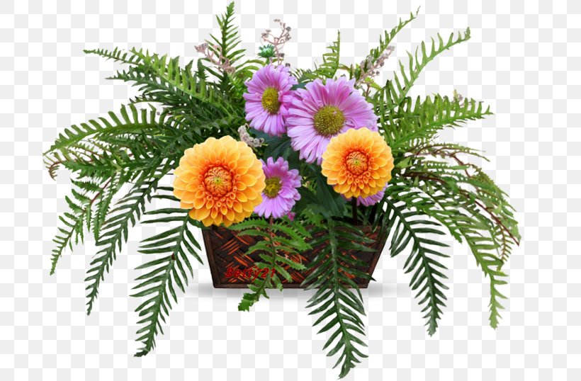 Floral Design Cut Flowers Flower Bouquet Flowerpot, PNG, 699x538px, Floral Design, Aster, Cut Flowers, Fern, Floristry Download Free