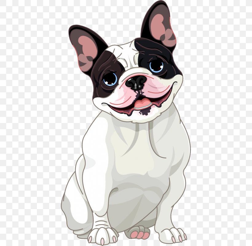 French Bulldog Pug Bullmastiff Puppy, PNG, 800x800px, French Bulldog, Boston Terrier, Bulldog, Bulldog Breeds, Bullmastiff Download Free